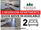 2 bed 1 bath - Edmonton Pet Friendly Apartment For Rent Tamarack Newer Building