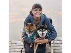 Experienced Pet Sitter in Edmonton, Alberta - Trustworthy Care at $20/hr