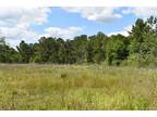 Plot For Sale In Coffee Springs, Alabama