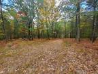 Plot For Sale In Luther, Michigan