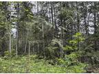 Beautiful Treed 10 Acre Property in Salmon Arm