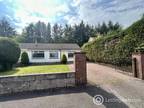 Property to rent in Broomwell Gardens, Monikie, Angus