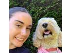 Experienced Pet Sitter in Vancouver, BC - Trustworthy & Affordable Services