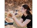 Experienced and Reliable Pet Sitter in Denton, TX - Trustworthy Care at $13/hr