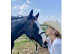 Adopt Mia `Mia Bronson` a Quarterhorse
