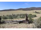 5 Acres With Trees and Views!
