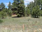 101 Convention Place, Pagosa Springs, CO 81147 642251516