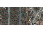 Williston, Levy County, FL Homesites for sale Property ID: 417579422
