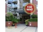 Apartment for rent in Kitsilano, Vancouver, Vancouver West