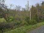 Lot East River West Side Road, Sunnybrae, NS, B0K 1B0 - vacant land for sale