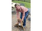 Adopt Ruxa a Pit Bull Terrier / Mixed dog in Willingboro, NJ (41530645)