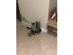 Adopt Tigger a Gray or Blue Domestic Shorthair / Mixed (short coat) cat in
