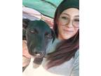 Adopt Patch a Black Labrador Retriever / Mixed dog in Calexico, CA (41504232)