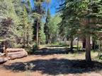 Plot For Sale In South Lake Tahoe, California