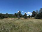 Manton, Tehama County, CA Undeveloped Land for sale Property ID: 419046562