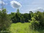 Plot For Sale In Big Clifty, Kentucky