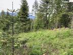 Plot For Sale In Hope, Idaho