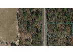 Dunnellon, Marion County, FL Undeveloped Land, Homesites for sale Property ID:
