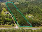 Bunnell, Flagler County, FL Undeveloped Land for sale Property ID: 419181658