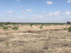 Snyder, Scurry County, TX Farms and Ranches, Hunting Property for sale Property