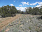 New Mexico Land for Sale, 11.04 Acres