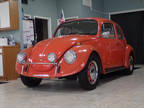 2001 Volkswagen Beetle Totally Restored
