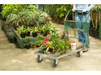 Business For Sale: Plant Nursery For Sale