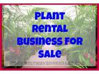 Business For Sale: Plant Rental Business