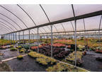 Business For Sale: Wholesale Nursery Business