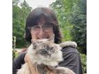 Experienced Pet Sitter and Caretaker - Foster, RI and Surrounding Area