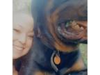 Experienced Pet Sitter in Savannah, GA - Trustworthy Care at $30/hr