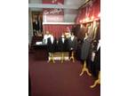 Business For Sale: Formal Wear Hire And Sales