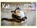 Adopt Kat (FCID# 05/15/2024 - 21 Millsboro PetSmart) C a Calico, Tabby