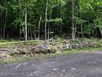 Plot For Sale In Drums, Pennsylvania