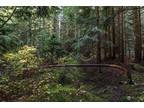 Plot For Sale In Snoqualmie Pass, Washington