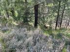 Plot For Sale In Timberon, New Mexico