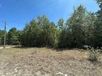 Bell, Gilchrist County, FL Undeveloped Land, Homesites for sale Property ID:
