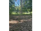 Plot For Sale In Six Lakes, Michigan