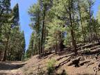 Plot For Sale In Cloudcroft, New Mexico
