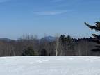 Andover, Windsor County, VT Undeveloped Land for sale Property ID: 419336561