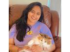 Experienced San Jose House Sitter Reliable, Trustworthy, and Dedicated