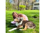 Experienced Pet Sitter in Groton, MA Trustworthy Care at $20/day