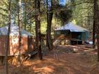 Off grid over 20 acres with 2 yurts