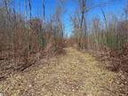 Harrison, Clare County, MI Undeveloped Land, Homesites for sale Property ID: