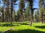 Plot For Sale In Seeley Lake, Montana