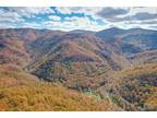 Bryson City, Swain County, NC Undeveloped Land for sale Property ID: 418138772