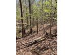 Greenville, Butler County, AL Undeveloped Land for sale Property ID: 419294590