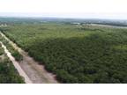 Buckholts, Milam County, TX Recreational Property, Undeveloped Land for sale