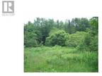 24 Woodmans Road, Corner Brook, NL, A2H 5X6 - vacant land for sale Listing ID