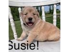 Susie!